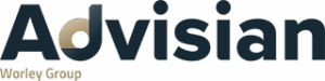Dispute resolution, litigation and expert witness testimony
