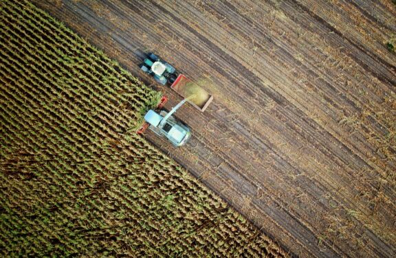 Food and Agriculture