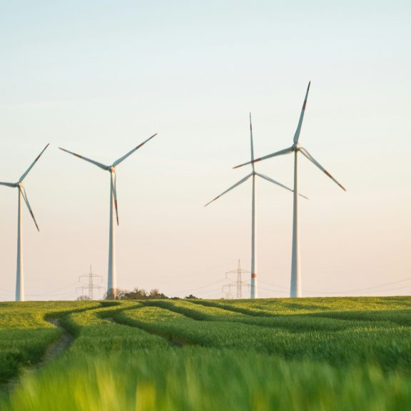Renewables Overtake Coal